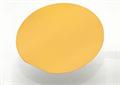  Au coated Silicon wafer /Microscope Slides